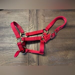 Horse Tack - Red Big D Weanling Nylon Halter